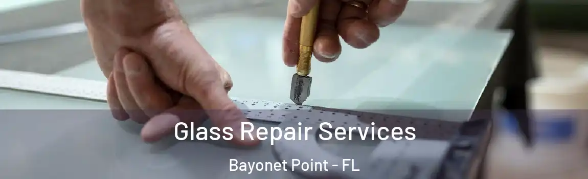  Glass Repair Services Bayonet Point - FL